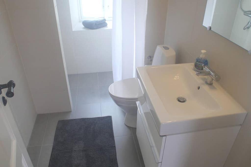 Next To New Harbor / 3 Bedroom & 2 Bath Rooms Κοπεγχάγη Εξωτερικό φωτογραφία